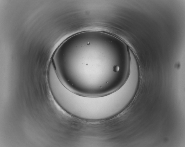 X0000111031484200907091533