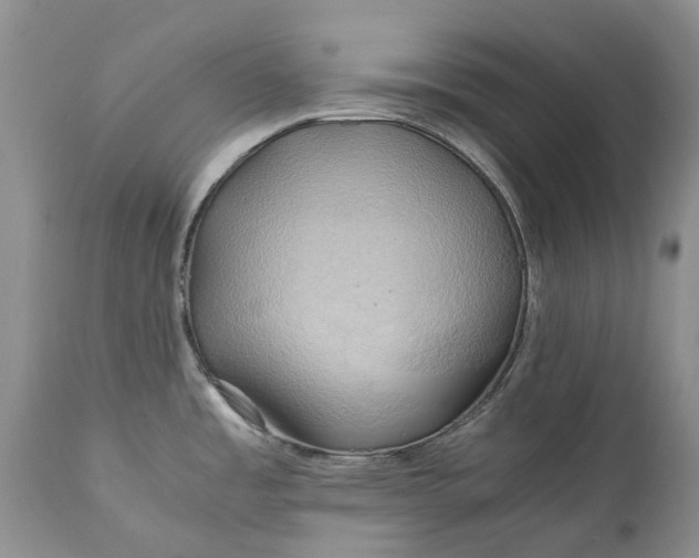X0000111031485200907091533