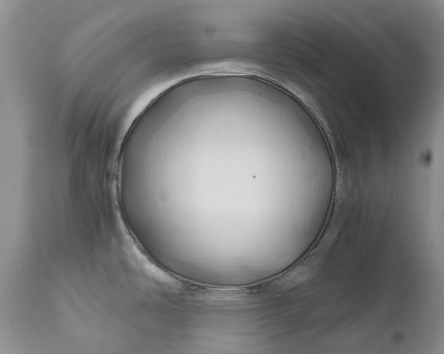 X0000111031486200907091533