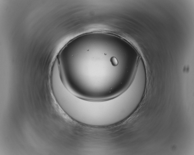 X0000111031488200907091533
