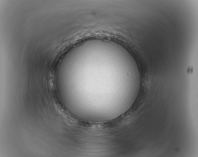X0000111031490200907091532