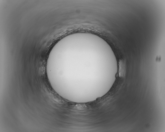 X0000111031491200907091532