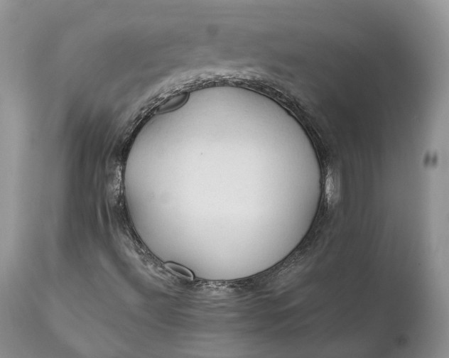 X0000111031492200907091532