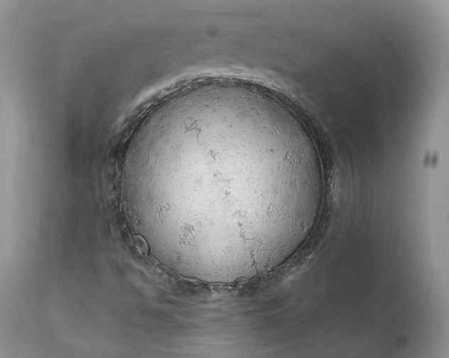 X0000111031494200907091532