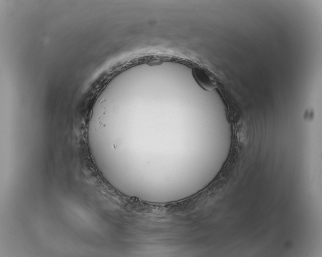 X0000111031495200907091532