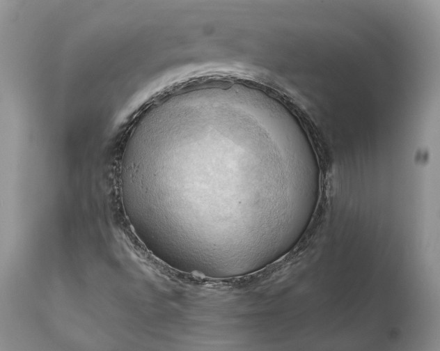 X0000111031496200907091532