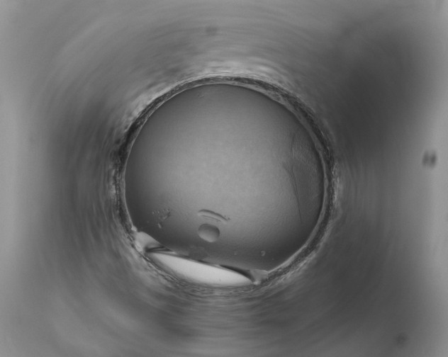 X0000111031497200907091532