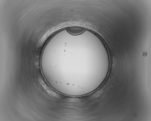 X0000111031499200907091532