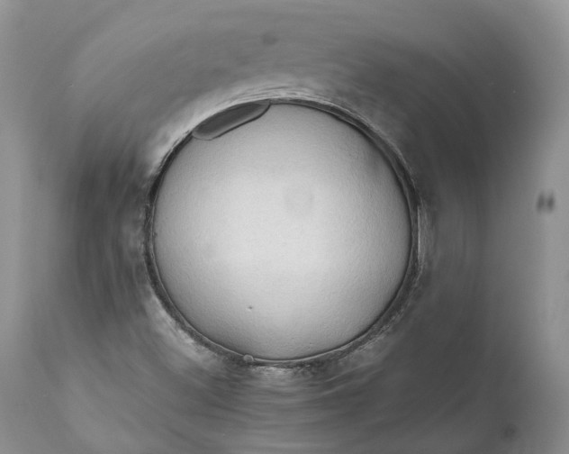 X0000111031500200907091532