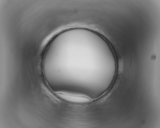 X0000111031502200907091532