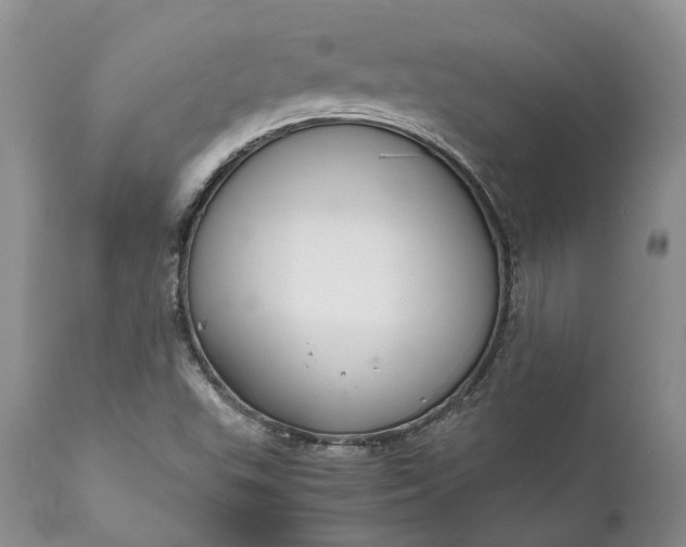 X0000111031503200907091532