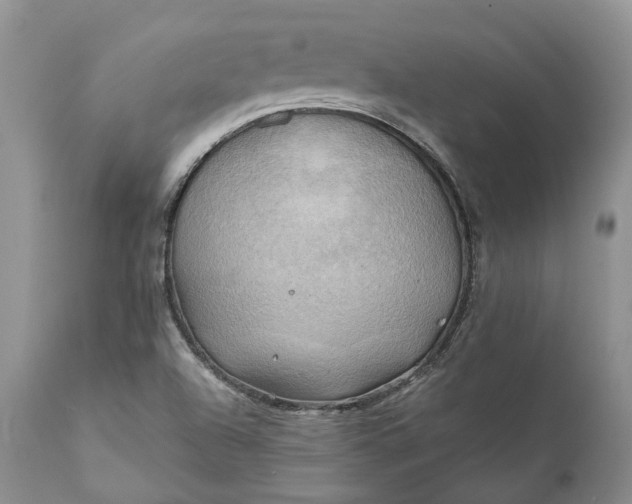 X0000111031504200907091532