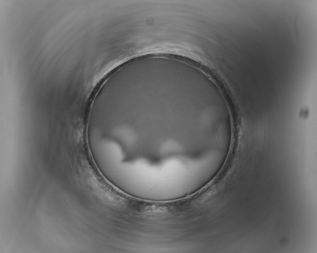 X0000111031505200907091532