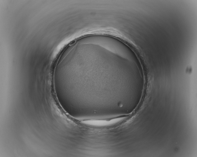 X0000111031506200907091532