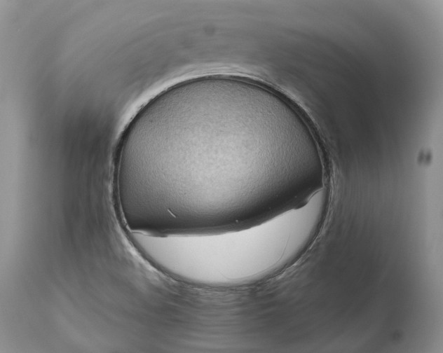 X0000111031508200907091532