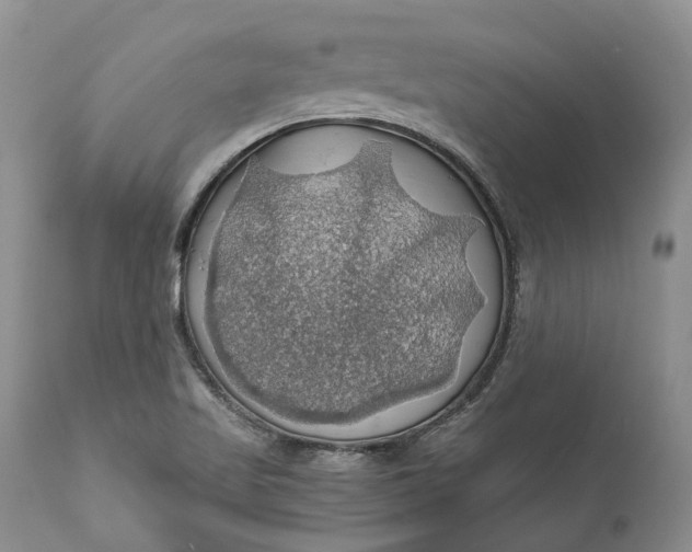 X0000111031509200907091532