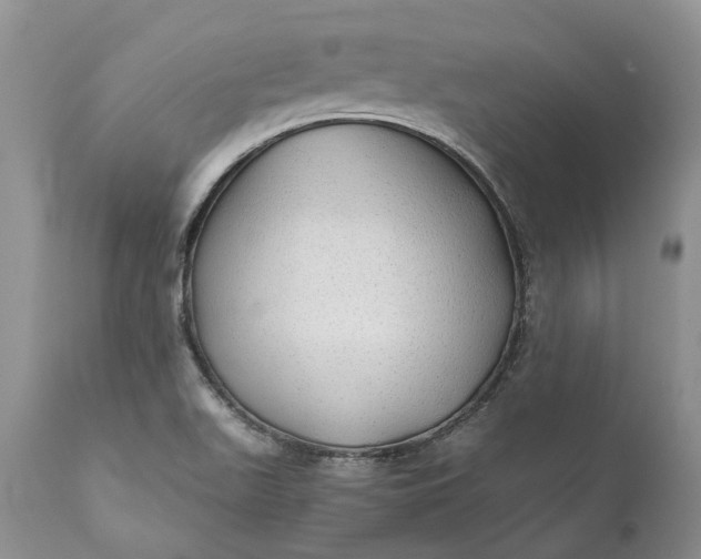 X0000111031511200907091532