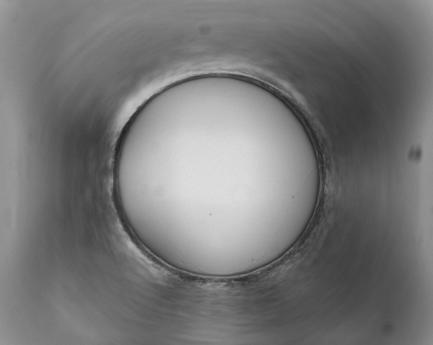 X0000111031512200907091532
