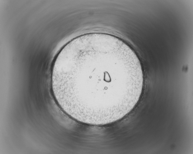 X0000111031514200907091532