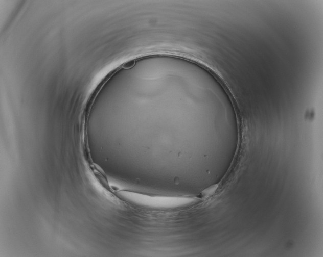 X0000111031515200907091532