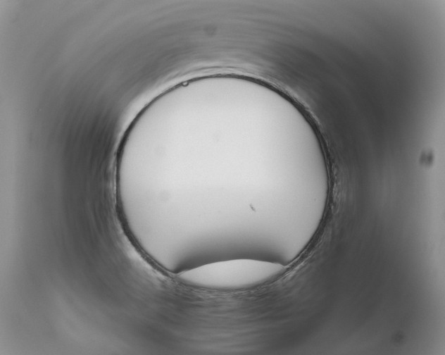 X0000111031516200907091532