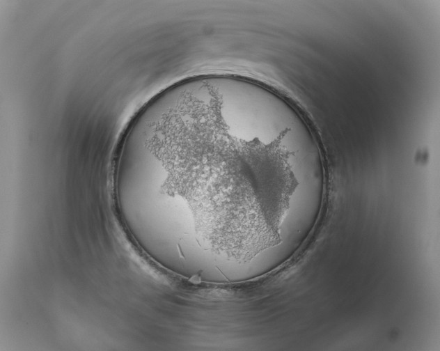X0000111031517200907091532