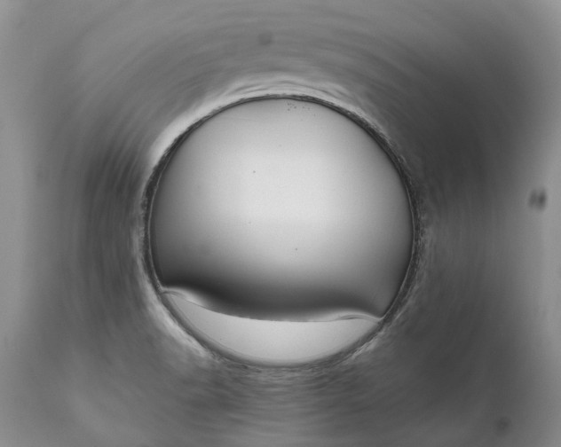 X0000111031518200907091532