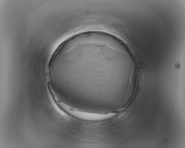 X0000111031519200907091532