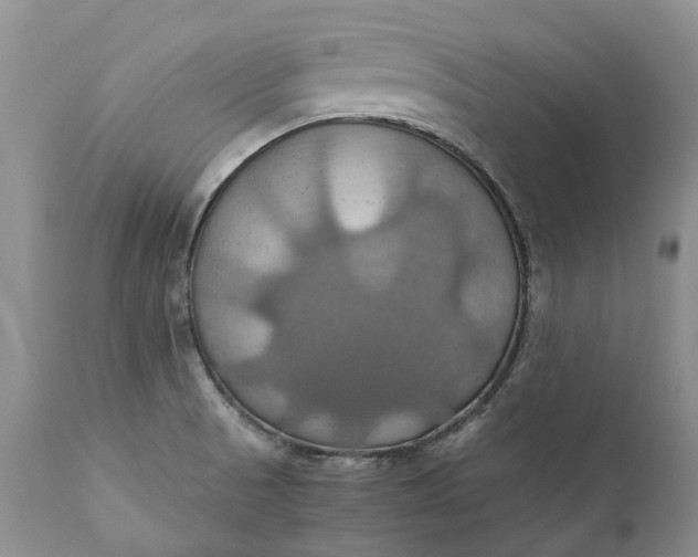 X0000111031521200907091532