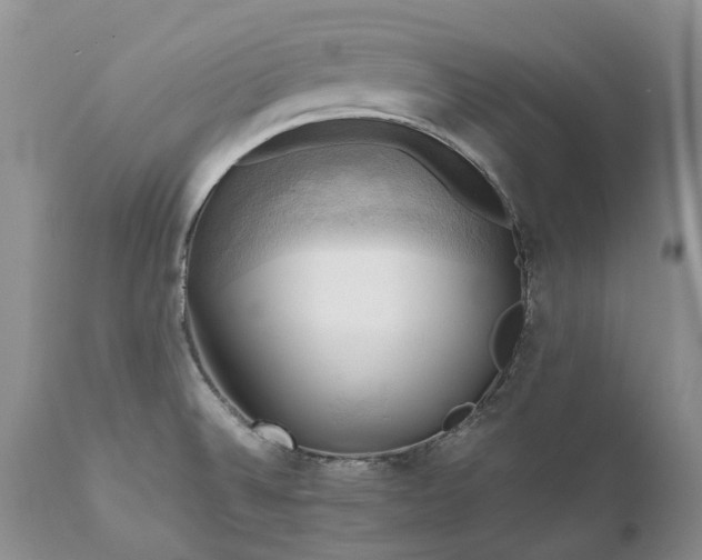 X0000111031524200907091532
