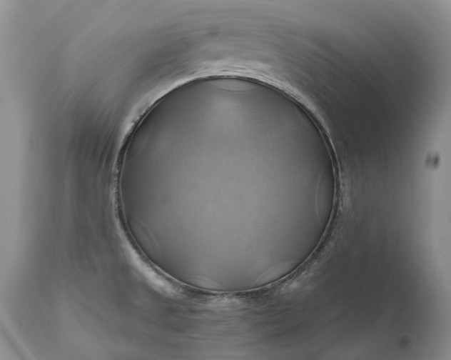X0000111031525200907091532