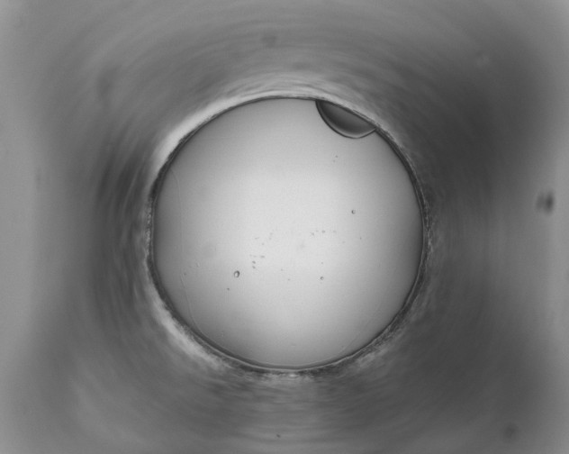X0000111031526200907091532