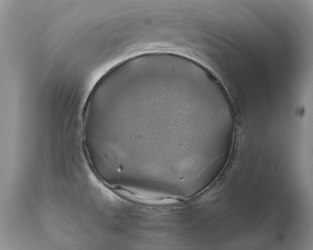 X0000111031527200907091532
