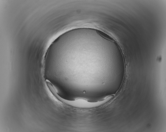 X0000111031528200907091532