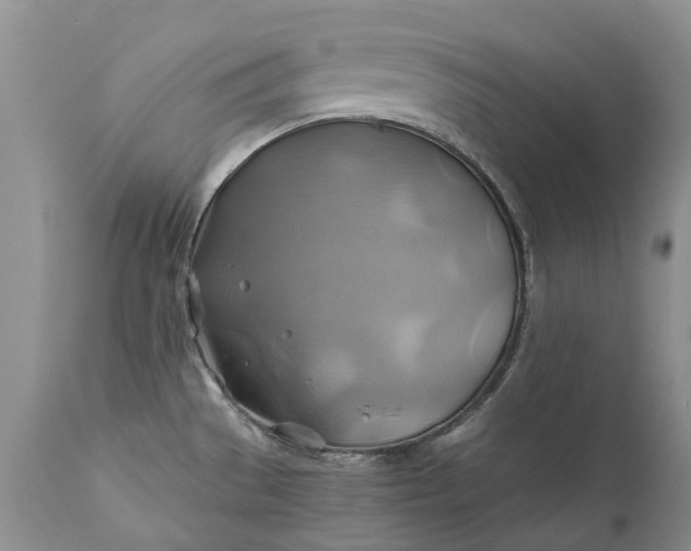 X0000111031529200907091532