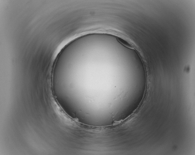 X0000111031530200907091532