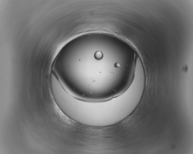 X0000111031532200907091533