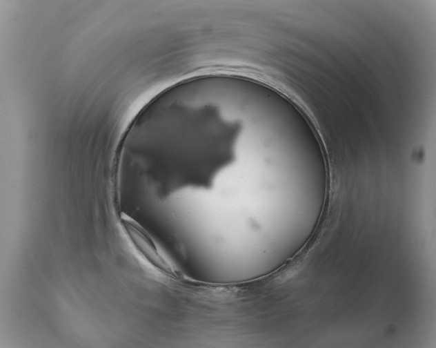 X0000111031533200907091533