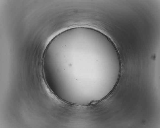 X0000111031534200907091533