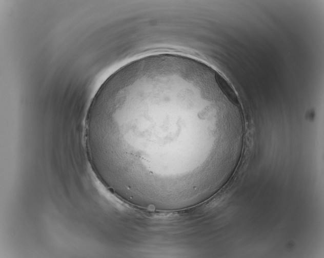 X0000111031535200907091533