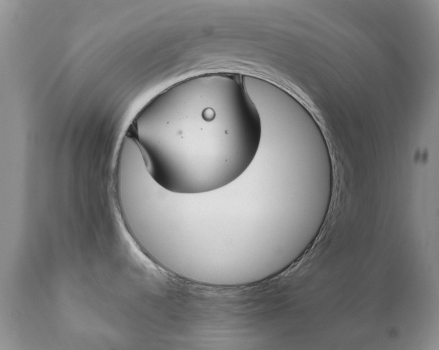 X0000111031536200907091533