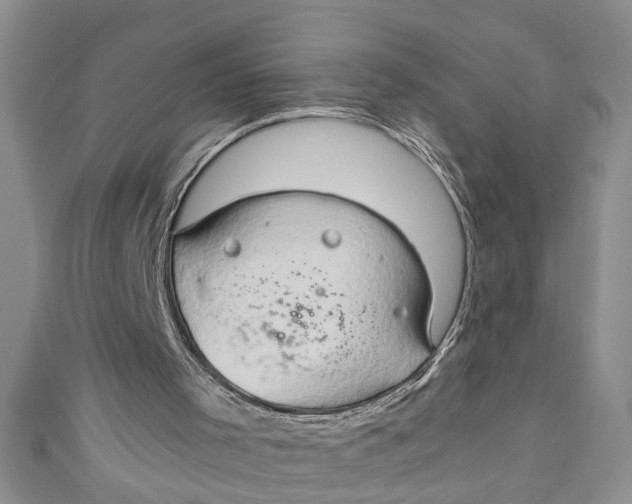 X0000111030001200907161334