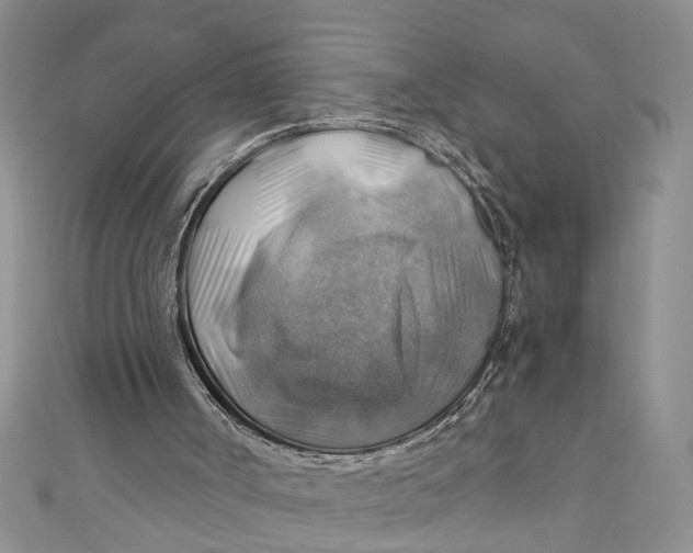 X0000111030002200907161334