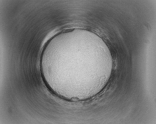 X0000111030004200907161334