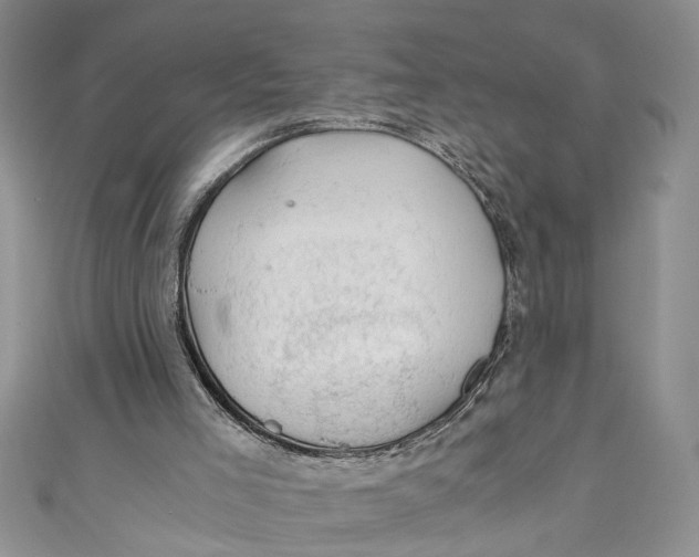 X0000111030005200907161334