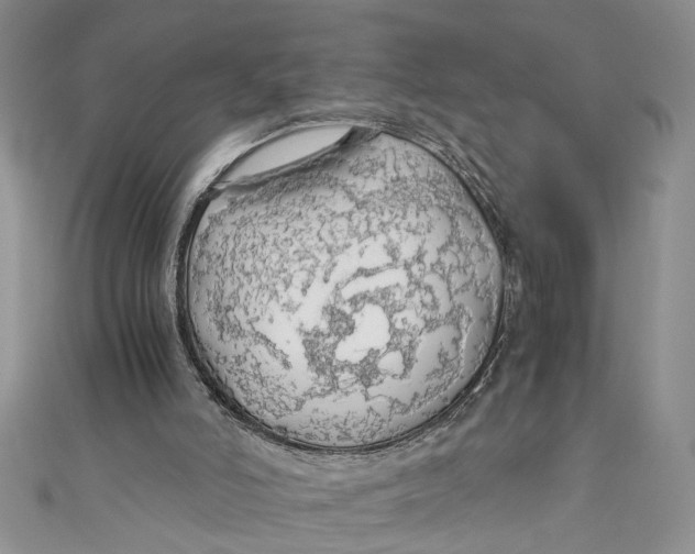 X0000111030006200907161334