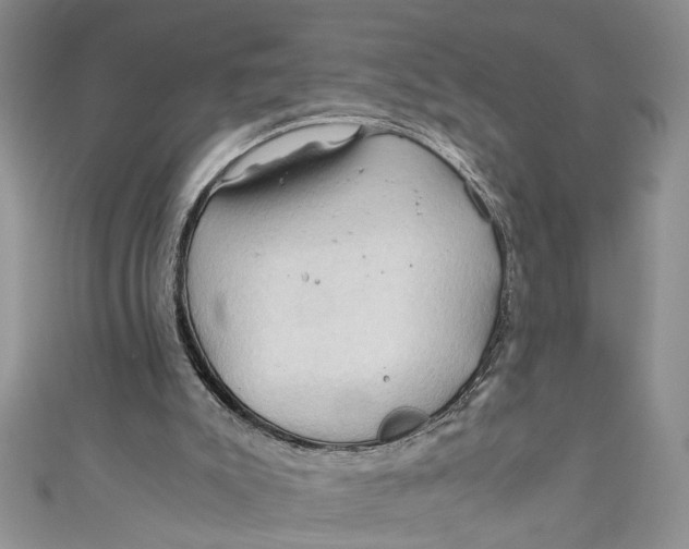 X0000111030007200907161334