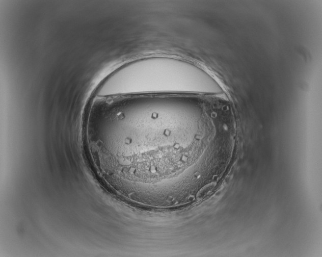 X0000111030008200907161334