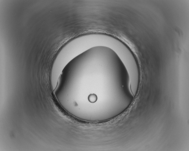 X0000111030009200907161334