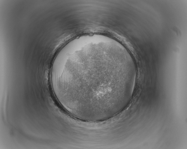 X0000111030010200907161334